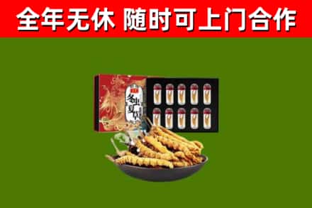 洛浦县回收冬虫夏草价格